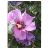 Porte-bloc Bumblebebe sur la fleur d'Hibiscus (Dos)