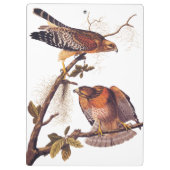 Porte-bloc Buse à épaulettes roux Audubon Oiseau de proie (Dos)