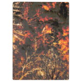 Porte-bloc Cadeaux de feux de forêt pour pompiers (Dos)