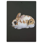 Porte-bloc Calico Rabbit (Dos)