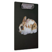 Porte-bloc Calico Rabbit (Swatch)