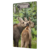 Porte-bloc Calves d'orignal (Gauche)
