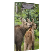 Porte-bloc Calves d'orignal (Swatch)
