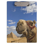 Porte-bloc Camel devant les pyramides de Gizeh, Egypte, (Devant)