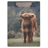 Porte-bloc Campagne d'herbe d'automne de la vache de haute-te (Devant)