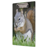 Porte-bloc Canada, Colombie-Britannique, Pin d'écureuil roux (Gauche)