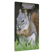 Porte-bloc Canada, Colombie-Britannique, Pin d'écureuil roux (Swatch)