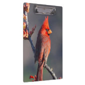 Porte-bloc Cardinal (Swatch)