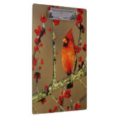 Porte-bloc Cardinal rouge mâle perché, IL (Swatch)