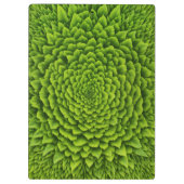 Porte-bloc Carnet de photos en spirale (Dos)