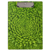 Porte-bloc Carnet de photos en spirale (Devant)