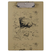 Porte-bloc Carte de Constellation Aries Hevelius vers 1690 (Devant)