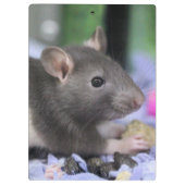 Porte-bloc Casque (Dos)