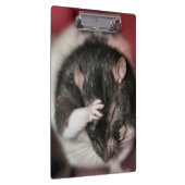 Porte-bloc Casque (Swatch)