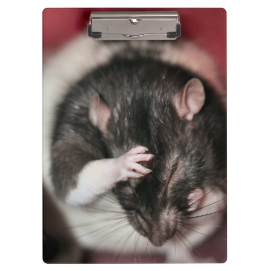 Porte-bloc Casque (Devant)