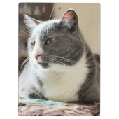 Porte-bloc Cat (Dos)