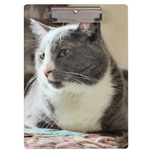 Porte-bloc Cat (Devant)