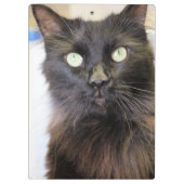Porte-bloc Cat (Dos)