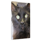 Porte-bloc Cat (Swatch)