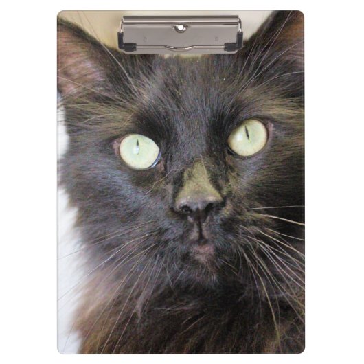 Porte-bloc Cat (Devant)