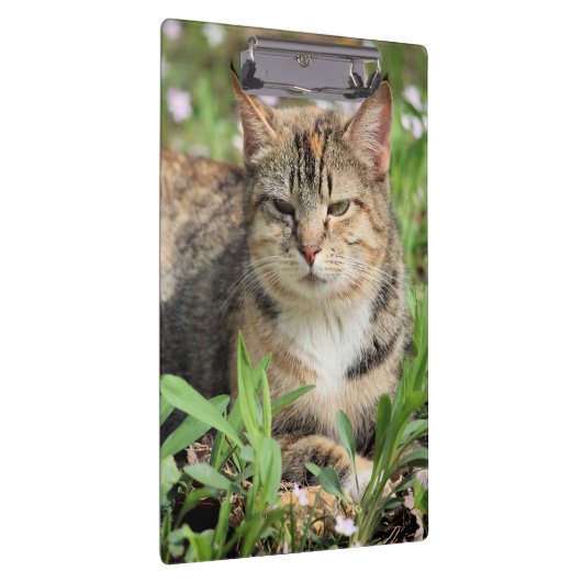 Porte-bloc Cat (Swatch)