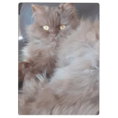 Porte-bloc Cat mignon (Dos)