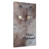 Porte-bloc Cat mignon (Swatch)