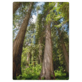 Porte-bloc Cèdre rouge occidental (Dos)