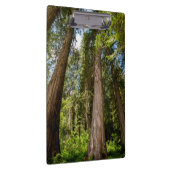 Porte-bloc Cèdre rouge occidental (Swatch)