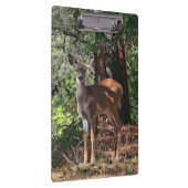 PORTE-BLOC CERFS COMMUNS DANS LES BOIS (Swatch)