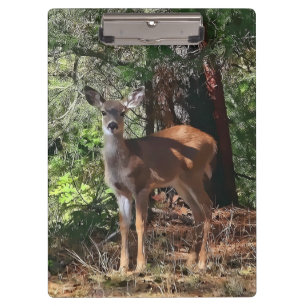 PORTE-BLOC CERFS COMMUNS DANS LES BOIS
