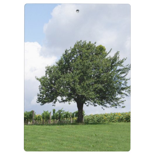 Porte-bloc Cerisier En Été (Dos)