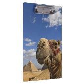Porte-bloc Chameau devant les pyramides de Gizeh, Égypte, (Swatch)