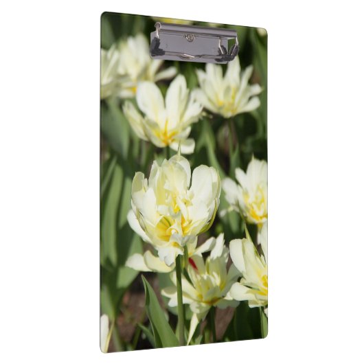 Porte-bloc Champ de tulipes blanches (Swatch)