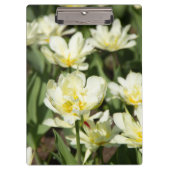 Porte-bloc Champ de tulipes blanches (Devant)