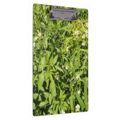 Porte-bloc Champ fleuri vert luxuriant (Swatch)