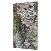Porte-bloc "Champignons de queue de Turquie" (Gauche)