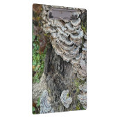 Porte-bloc "Champignons de queue de Turquie" (Swatch)
