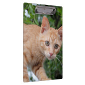 Porte-bloc Chat (Swatch)