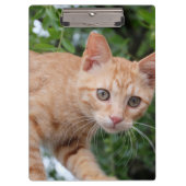 Porte-bloc Chat (Devant)