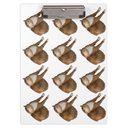 Porte-bloc Chat au soleil à l'envers (Devant)