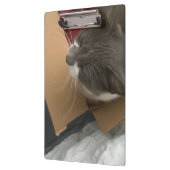 Porte-bloc Chat dans la boîte (Gauche)