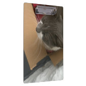 Porte-bloc Chat dans la boîte (Swatch)