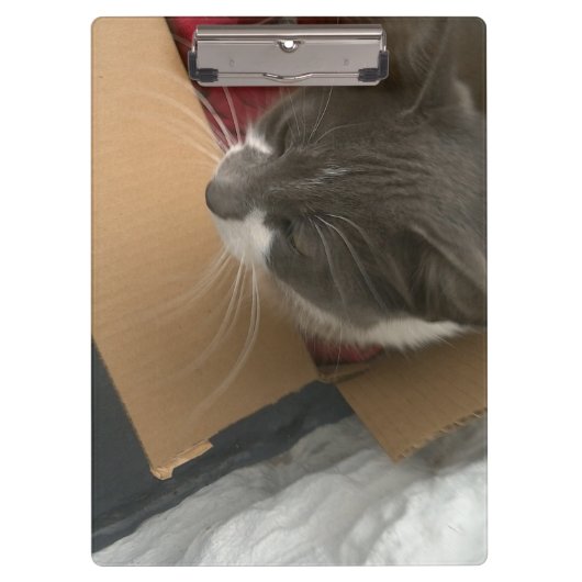 Porte-bloc Chat dans la boîte (Devant)