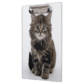 PORTE-BLOC CHAT DE LA CUISINE (Gauche)