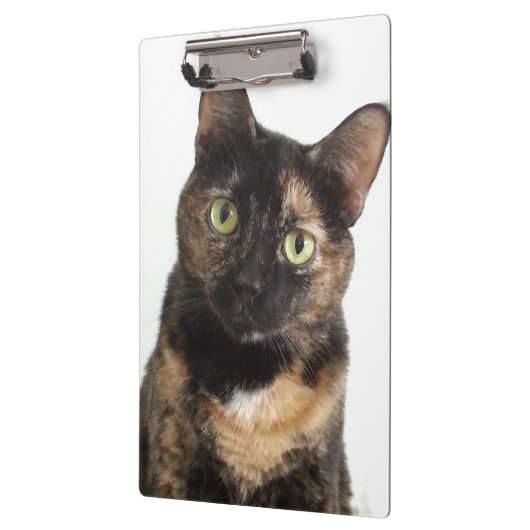 Porte-bloc Chat d'écaille (Gauche)