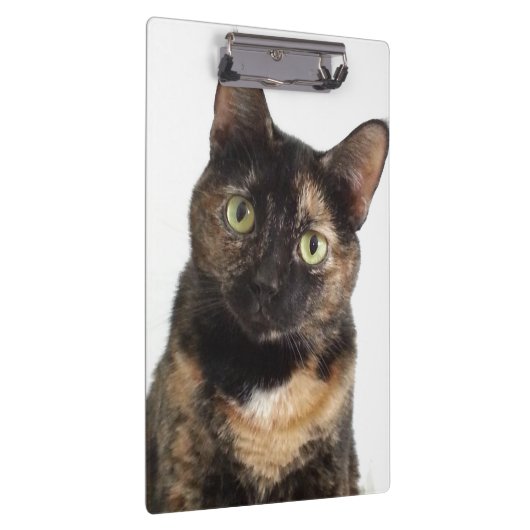 Porte-bloc Chat d'écaille (Swatch)