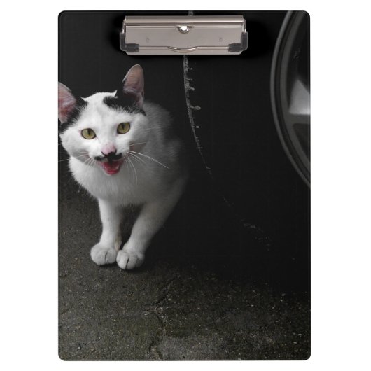 Porte-bloc Chat errant avec moustache (Devant)