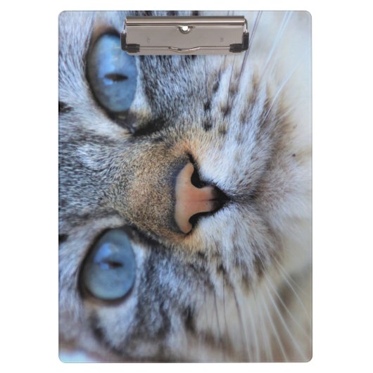 Porte-bloc Chat gris (Devant)