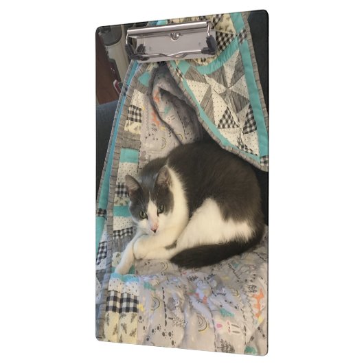 Porte-bloc Chat gris et blanc (Gauche)